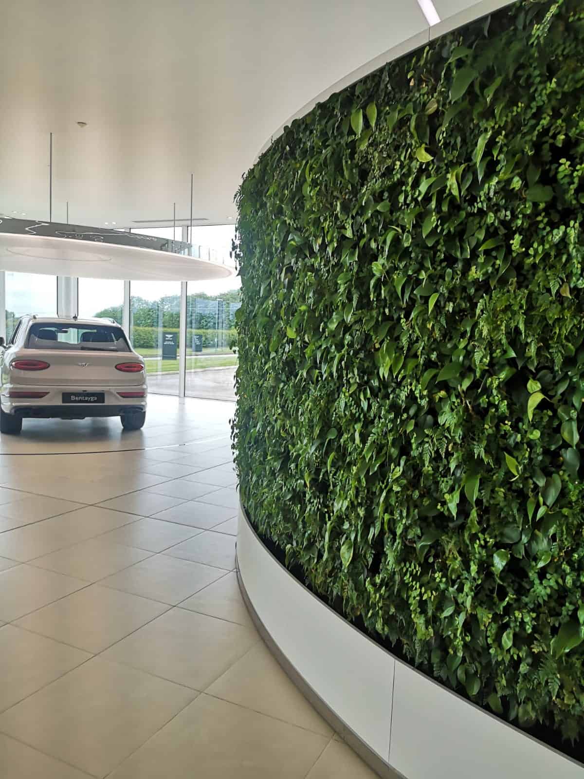 Convexed HYVERT living wall