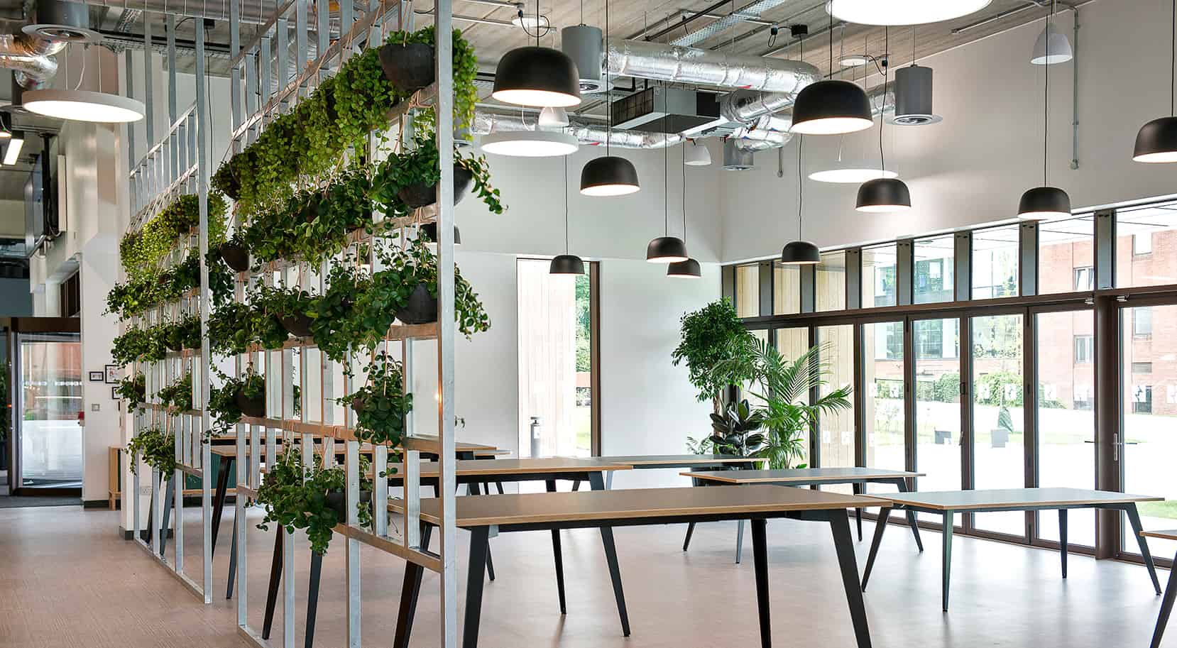 PortSwigger plants