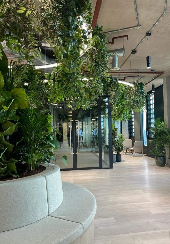 Brainlabs London planting scheme installed by I Want Plants
