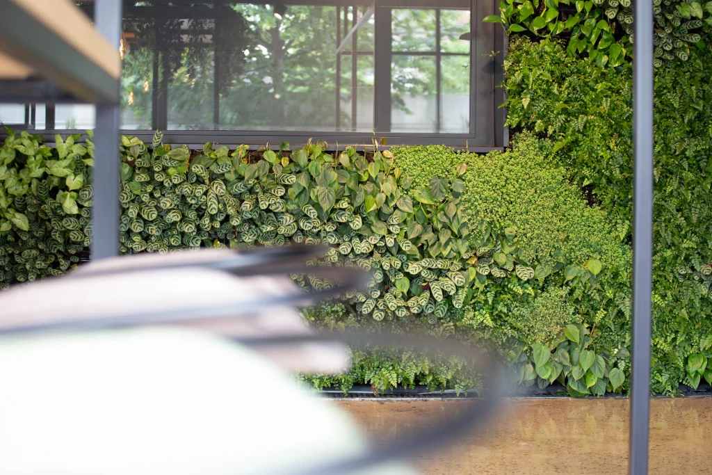 Internal HYVERT living wall at IC1 Liverpool Science Park