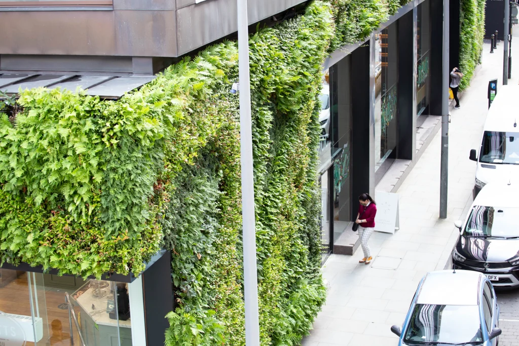 external green wall outside Bloc Manchester