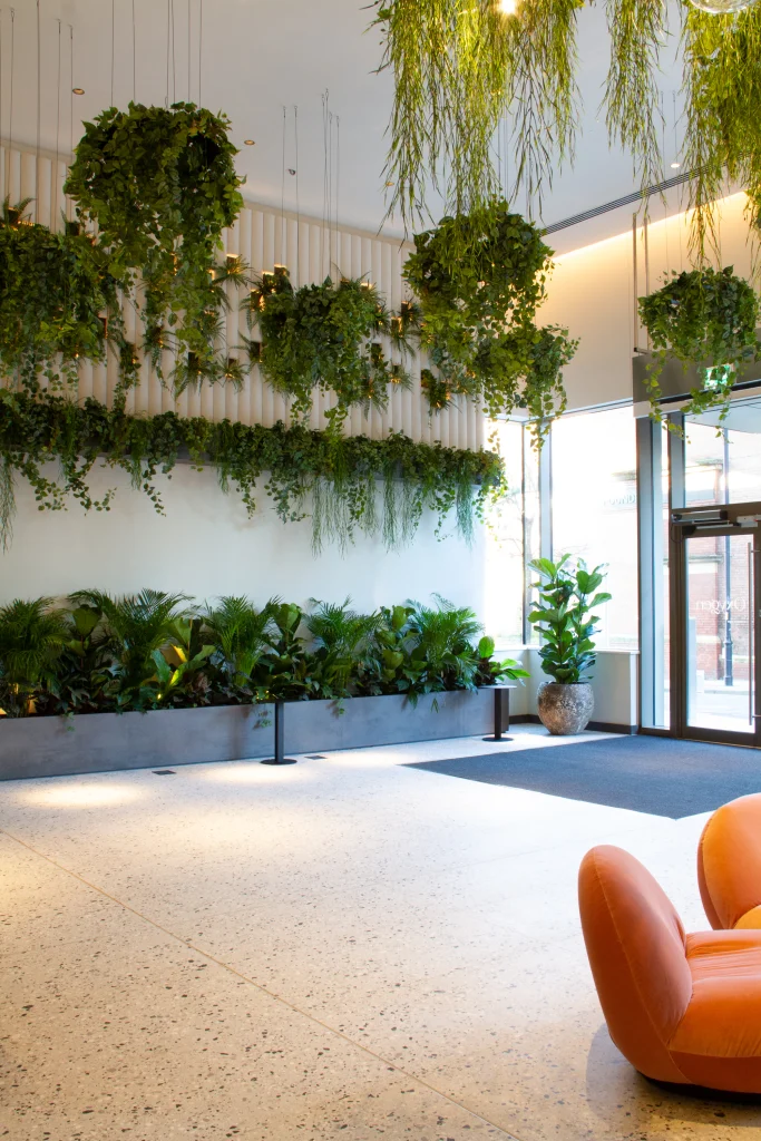 live plants in troughs and artificial plants suspended from ceiling at Oxygen Manchester