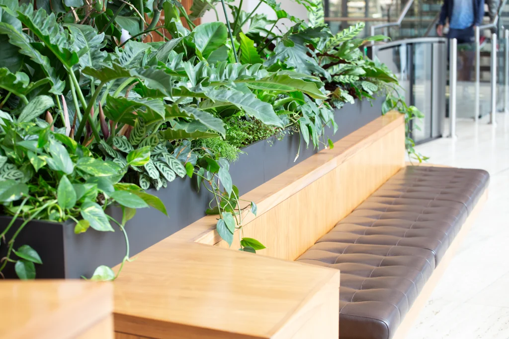 Workspace Communal entrance live planting display by I Want Plants