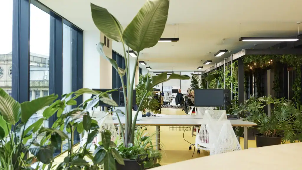 Biophilic planting display at Peak installed by I Want Plants