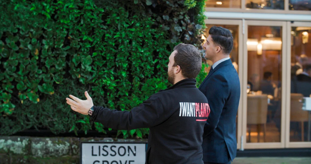 client being shown the completed living wall by I Want Plants HYVERT specialist