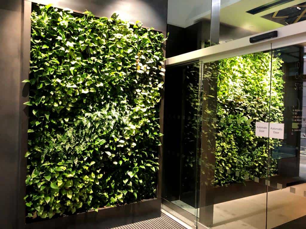 HYVERT green living wall for Intex projects at 10 Chiswell Street, Islington, London