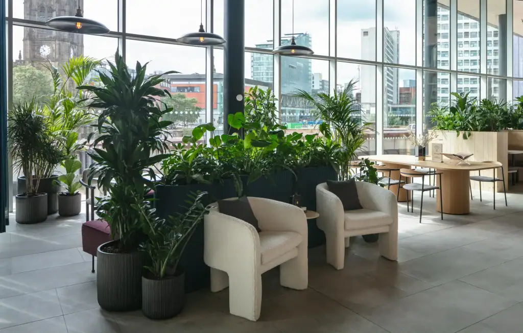 X+Why workspace internal planting display by I Want Plants