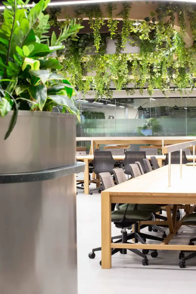 Alderley Park's workspaces with custom plant displays
