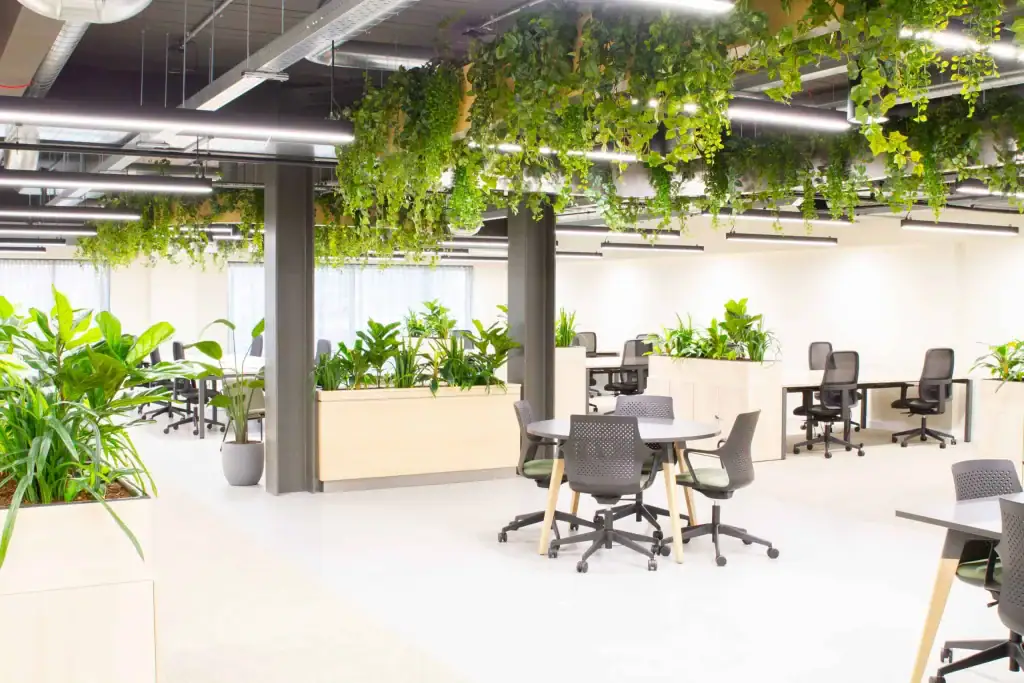 Multi-purpose workspace at Alderley park with hanging plants and elevated plant displays