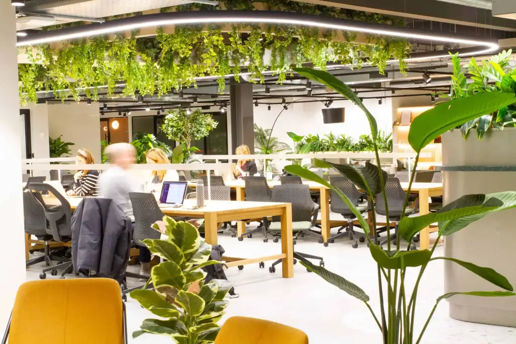 Bespoke plant installation at Alderley Park by I Want Plants