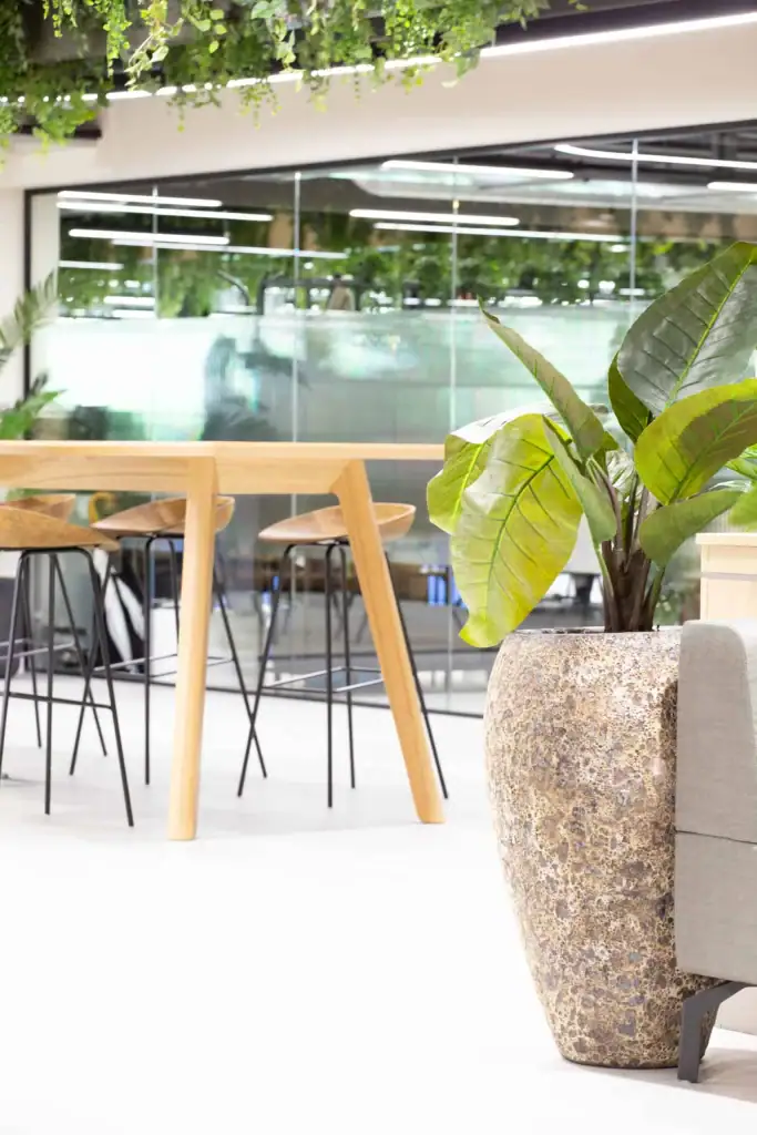 Workspace plant scheme for Bruntwood SciTech at their Alderley Park site; Glasshouse.