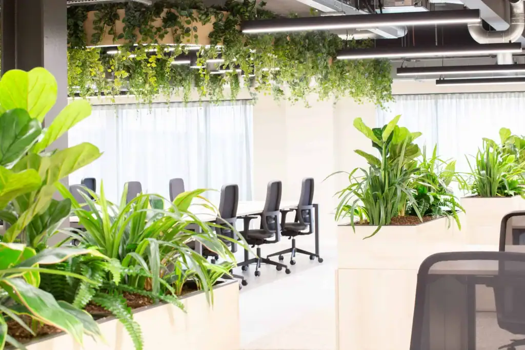 Workspace plant scheme for Bruntwood SciTech at their Alderley Park site; Glasshouse.