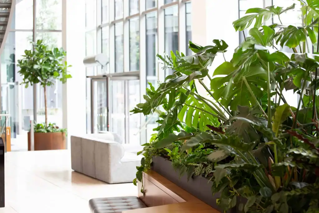 Green infrastructure for All+ Management