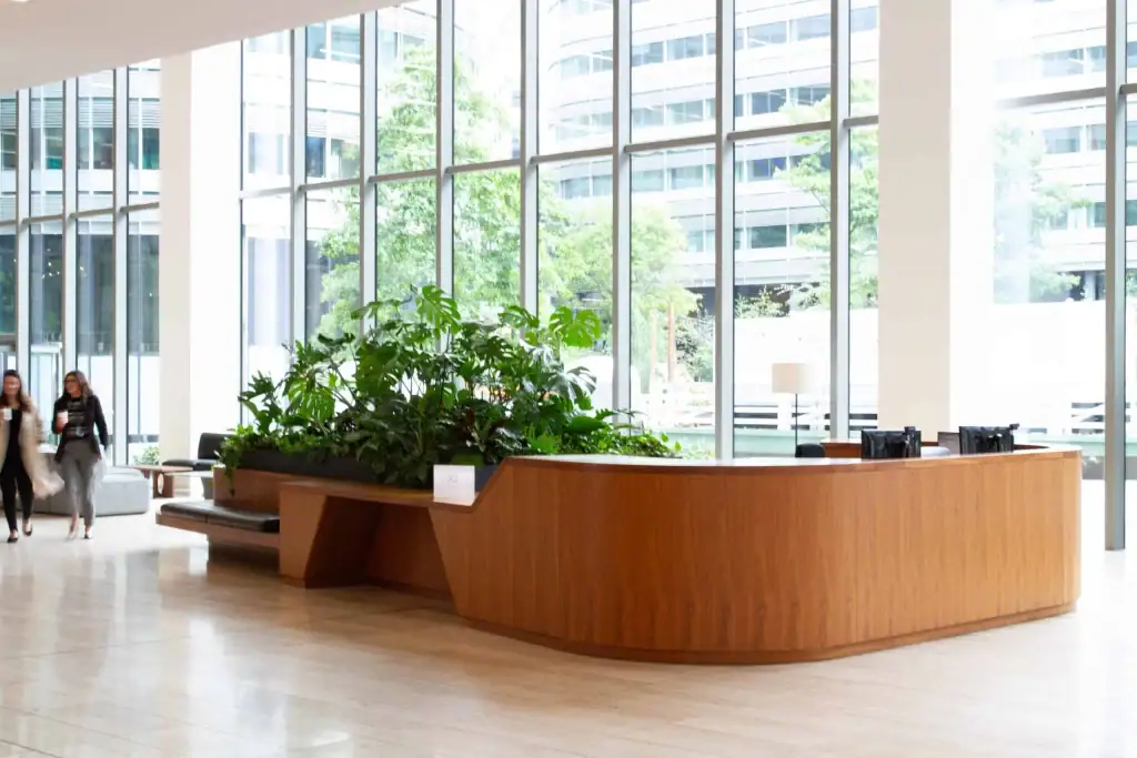 All+ Management's biophillic design scheme by I Want Plants
