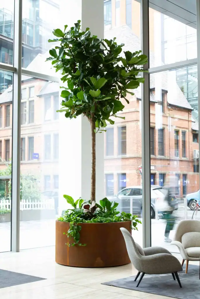 All+ Management reception with tree in rust effect planter