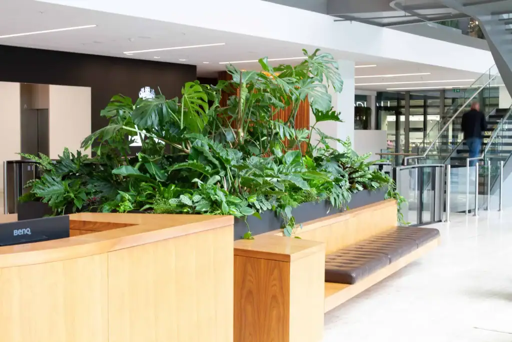 Trough planting in reception at All+ Management