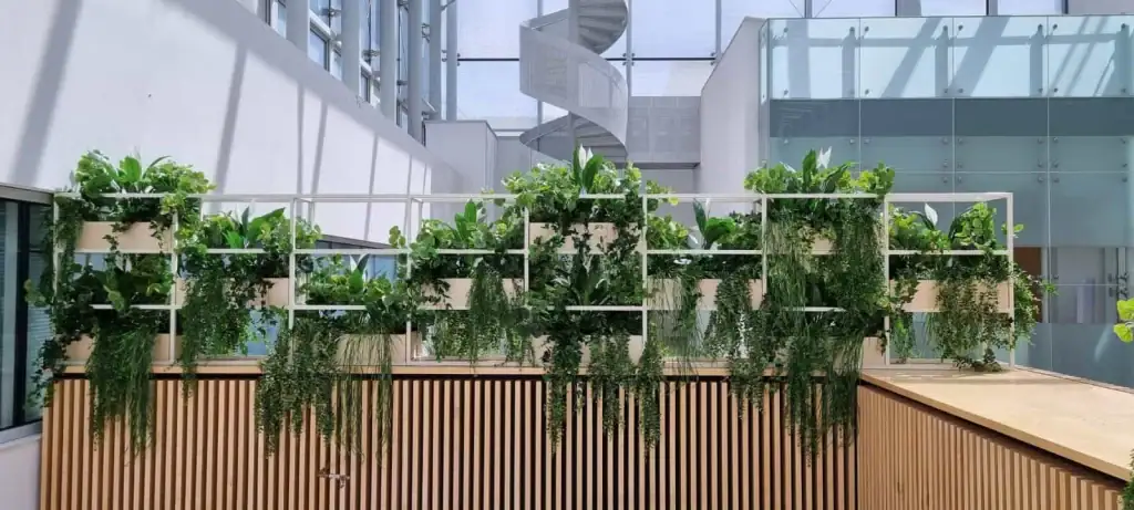 I Want Plants live trailing plants in open plan framework in workspace