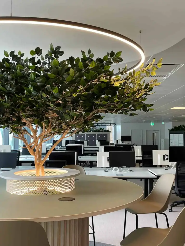 One of 11 custom made trees for Autotrader's office in Manchester