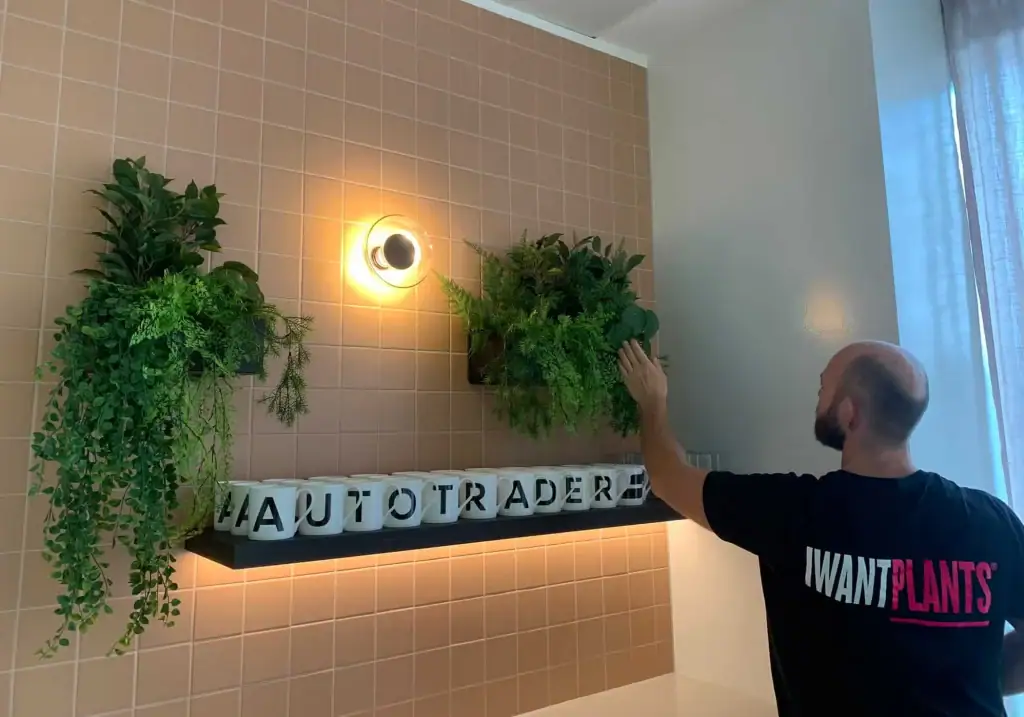 I Want Plants plant technician at Autotrader