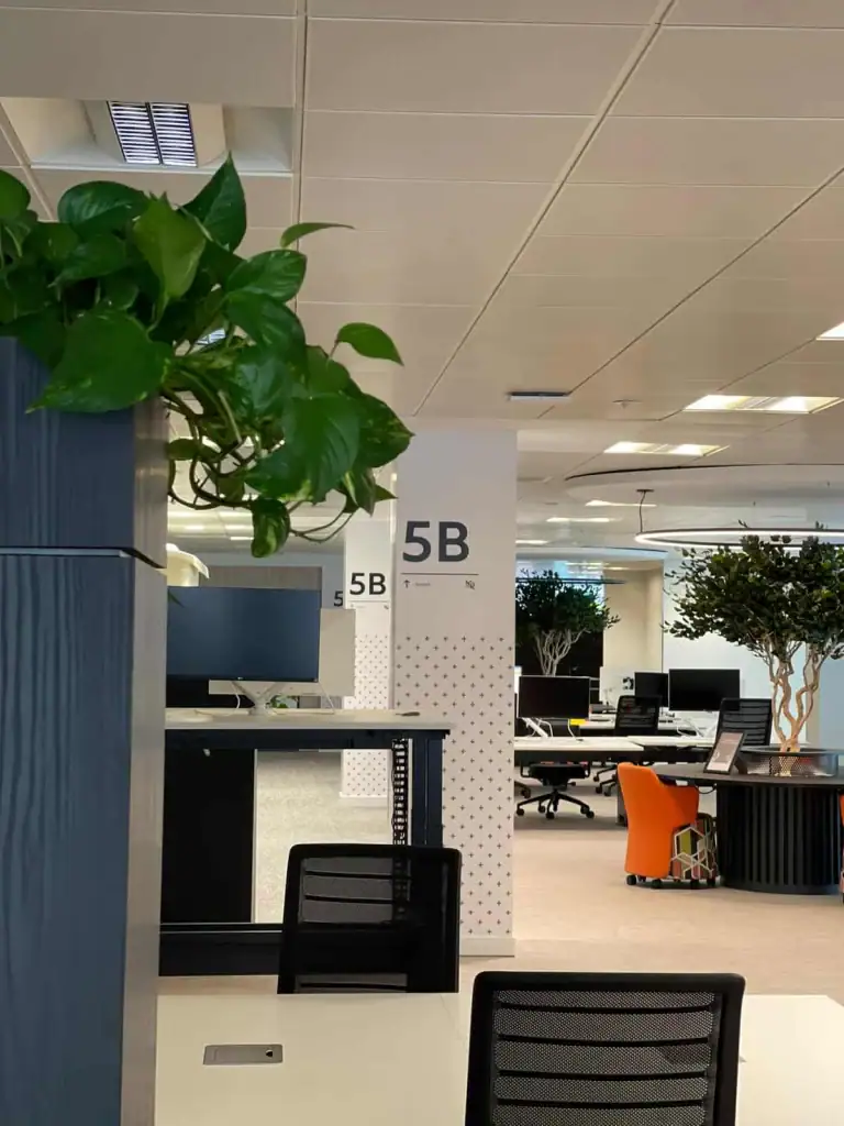 Custom trees and bespoke planting scheme at Autotrader's office