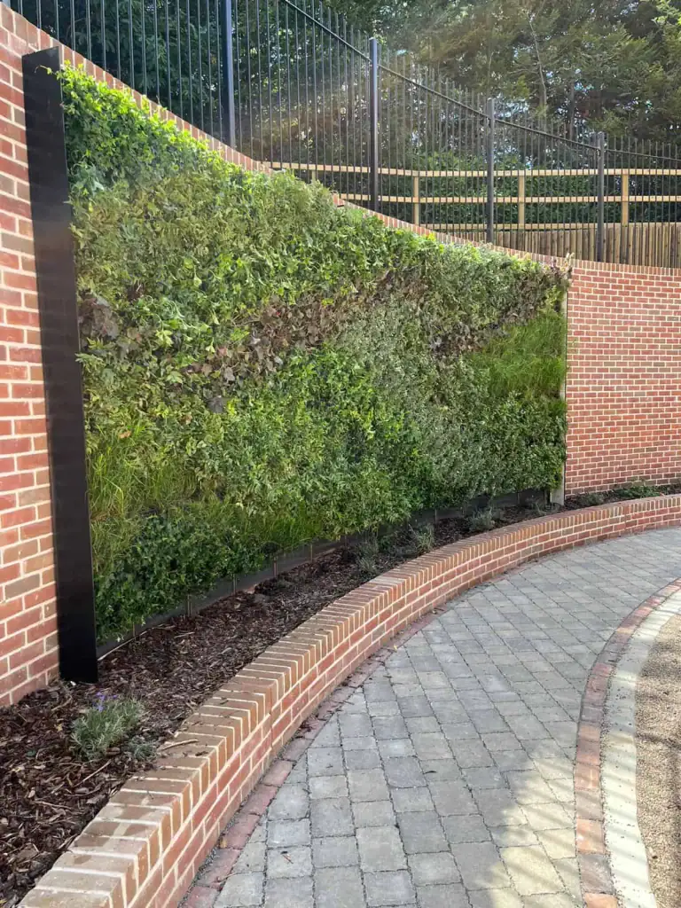 Concave Hyvert Living Wall for Barchester Healthcare by I Want Plants