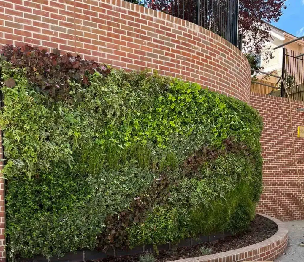 Convex Hyvert living wall for Barchester Healthcare by I Want Plants