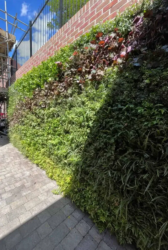 Bespoke Hyvert living wall for Barchester Healthcare requiring elevated aftercare