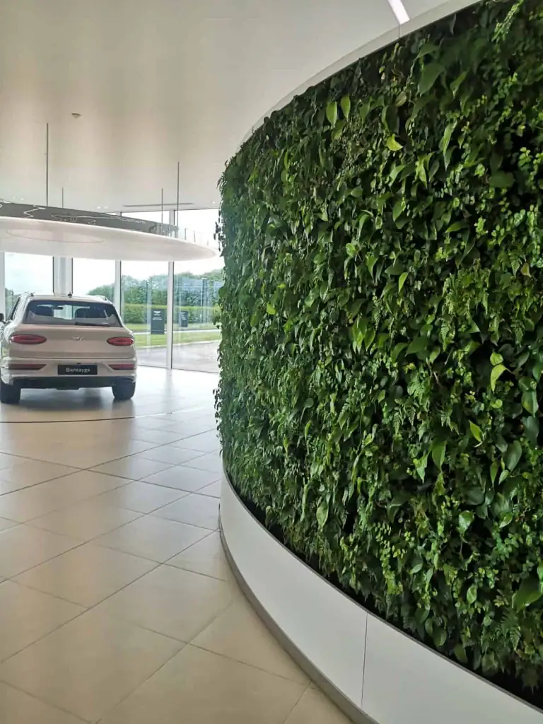 HYVERT living wall of Epipremnum Aureum, Humata Tyermanii, Philodendron Scandens, Pumilla, Syngonium White Butterfly in Bentley Motors headquarters