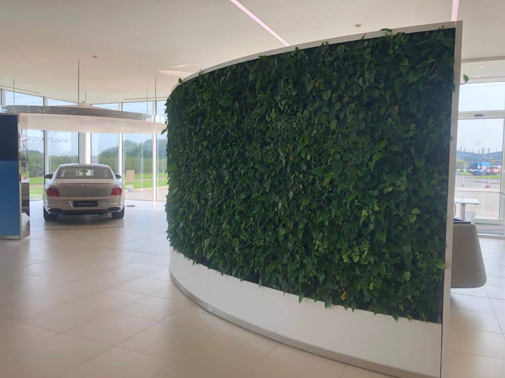 Curved HYVERT living wall for carbon neutral Bentley Motors in Crewe