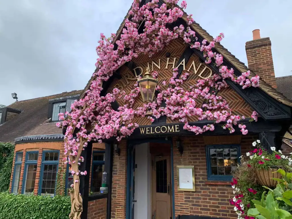 Close-up of artificial cherry blossom at Bird in the hand pub entrance