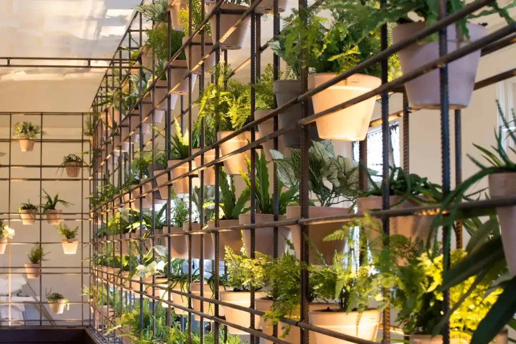 Display framework full of pot plants for The Botanist