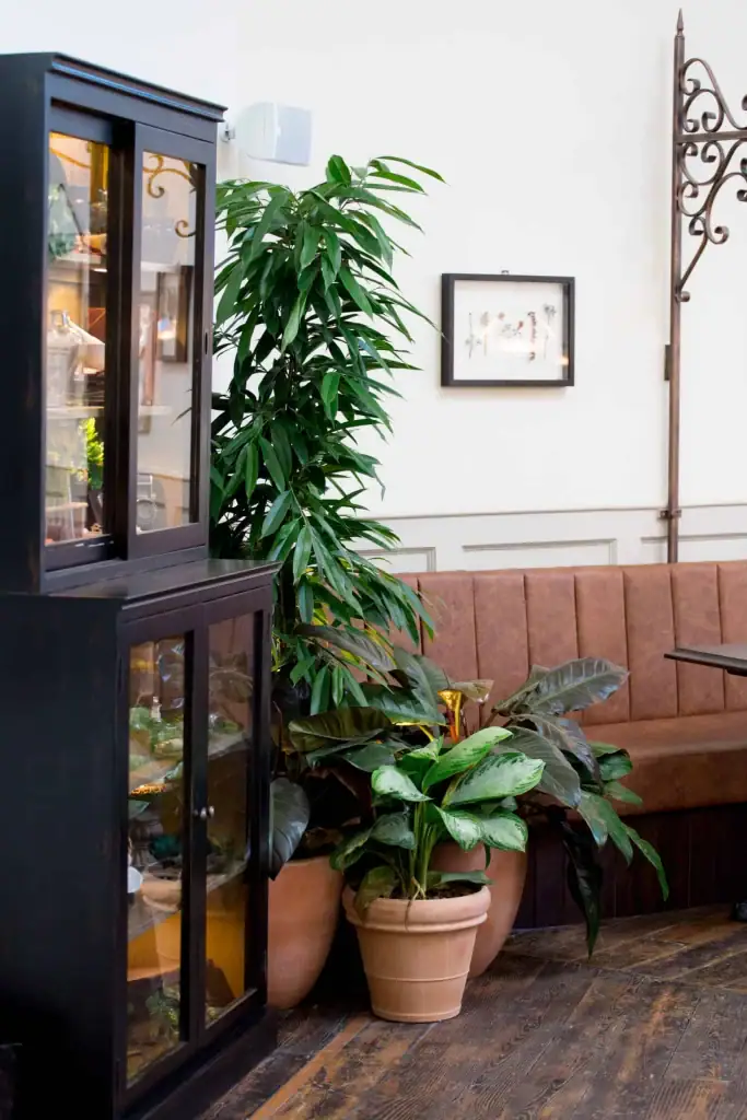 Cluster of terracotta pots and plants by I Want Plants
