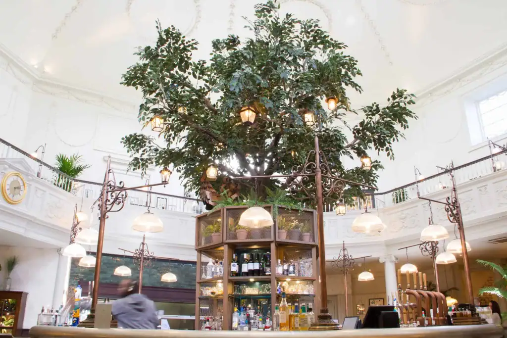7m high tree growing out of the bar at The Botanist
