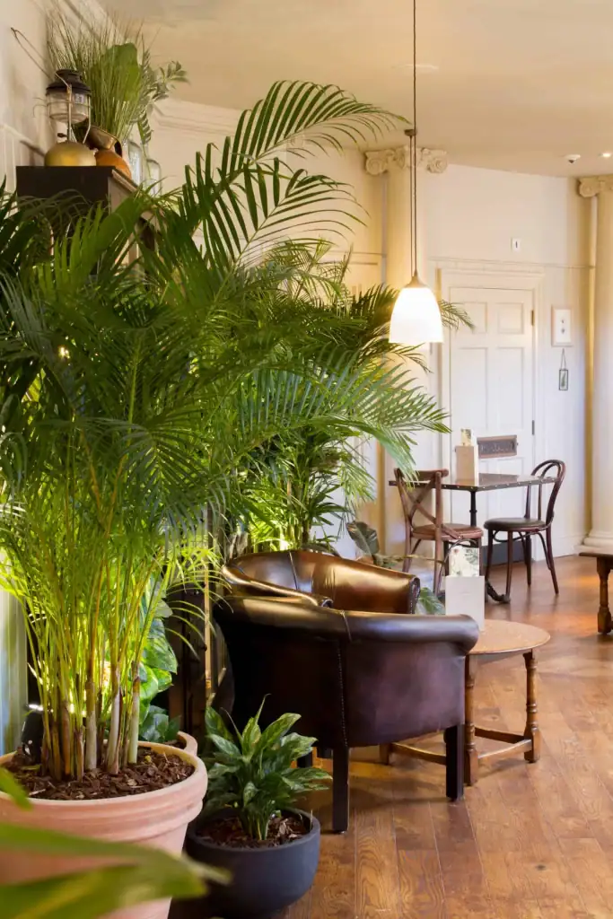 Freestanding palm planting at The Botanist