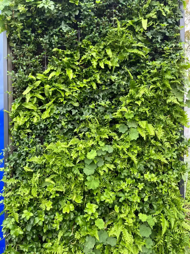 foliage within temporary HYVERT living wall hoarding at Trinity by Breathrough Properties