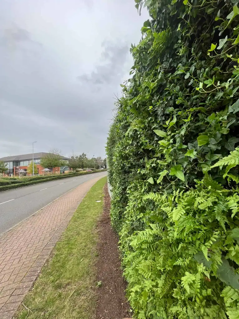 close up TRinity by Breakthrough Properties hoarding with temporary HYVERT living wall