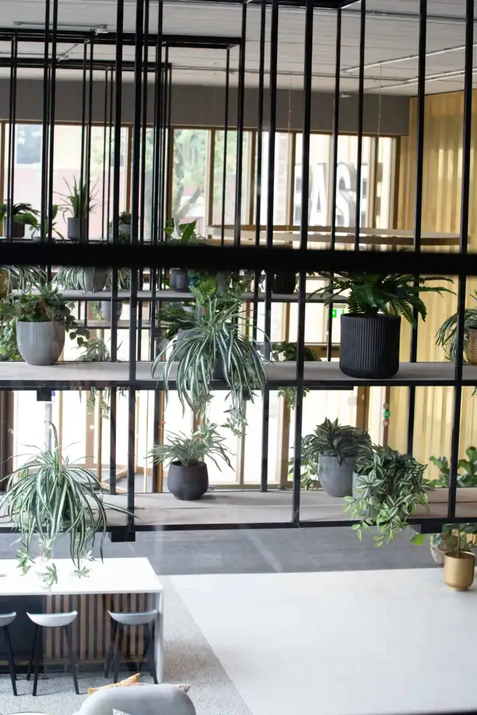 Shelf plants at Base, Manchester Science Park - Bruntwood SciTech