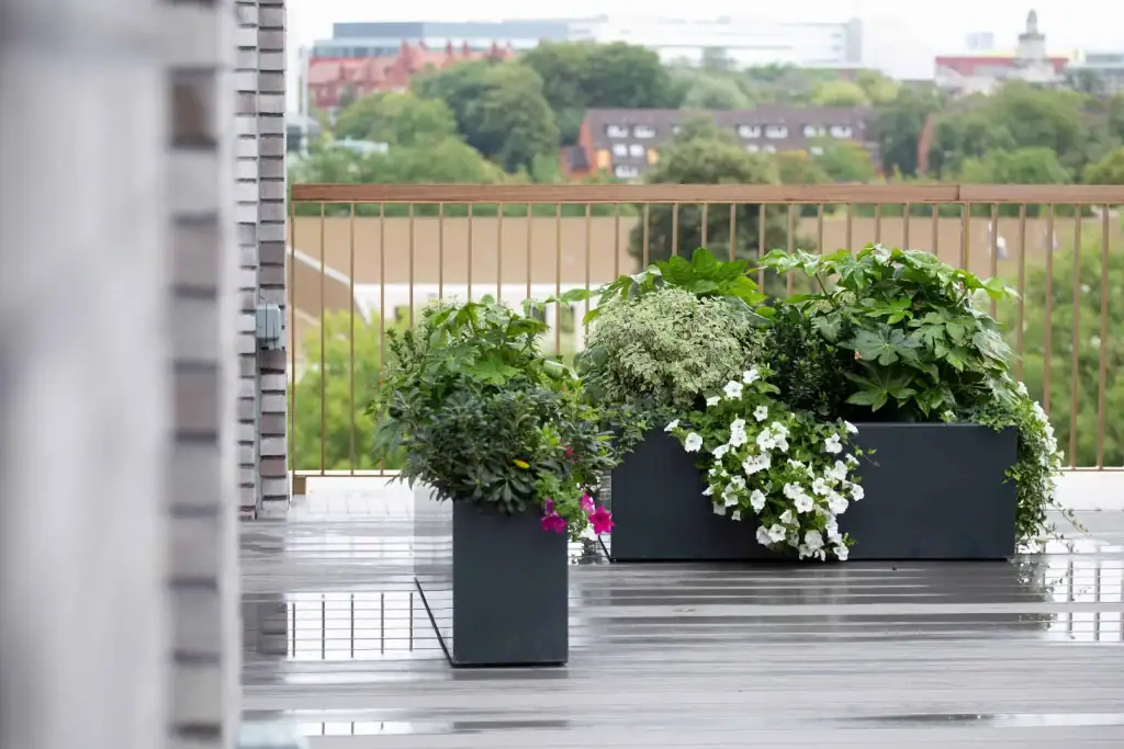 Biophilic space on Bruntwood Base roof terrace