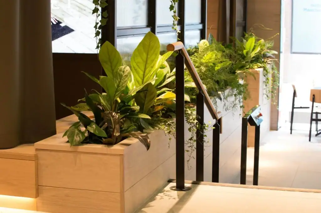 Bruntwood Bloc manchester with live plants in built in troughs