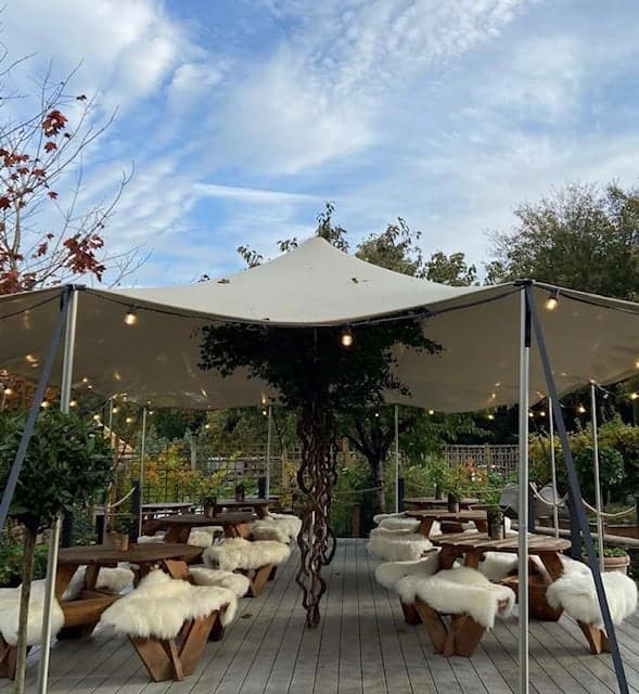 Custom tree installation for Butcombe Brewing Co, Bristol by I Want Plants