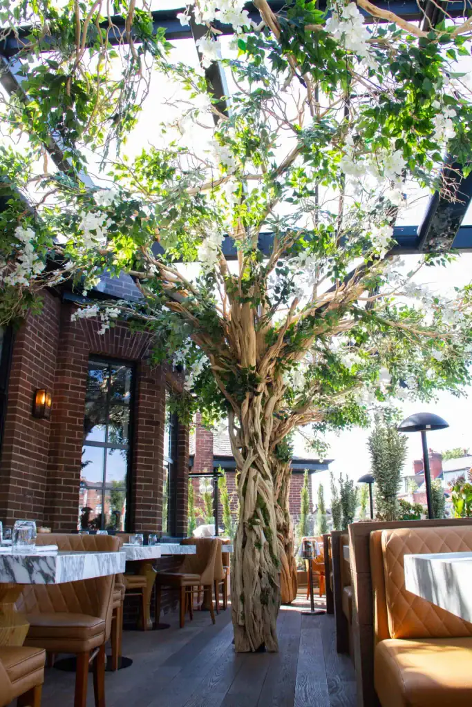 Tree build with canopy in Cibo, Hale, Cheshire's dining area