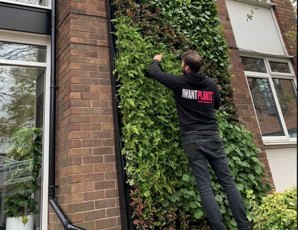 HYVERT technician carrying out elevated aftercare