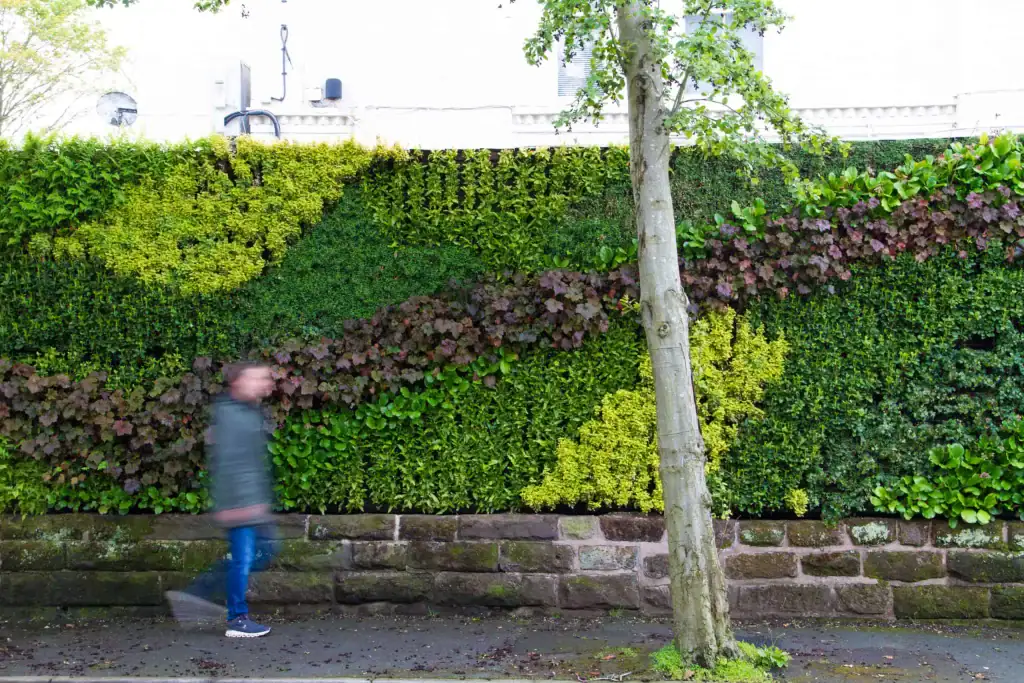 HYVERT living wall Cibo, Hale, Cheshire