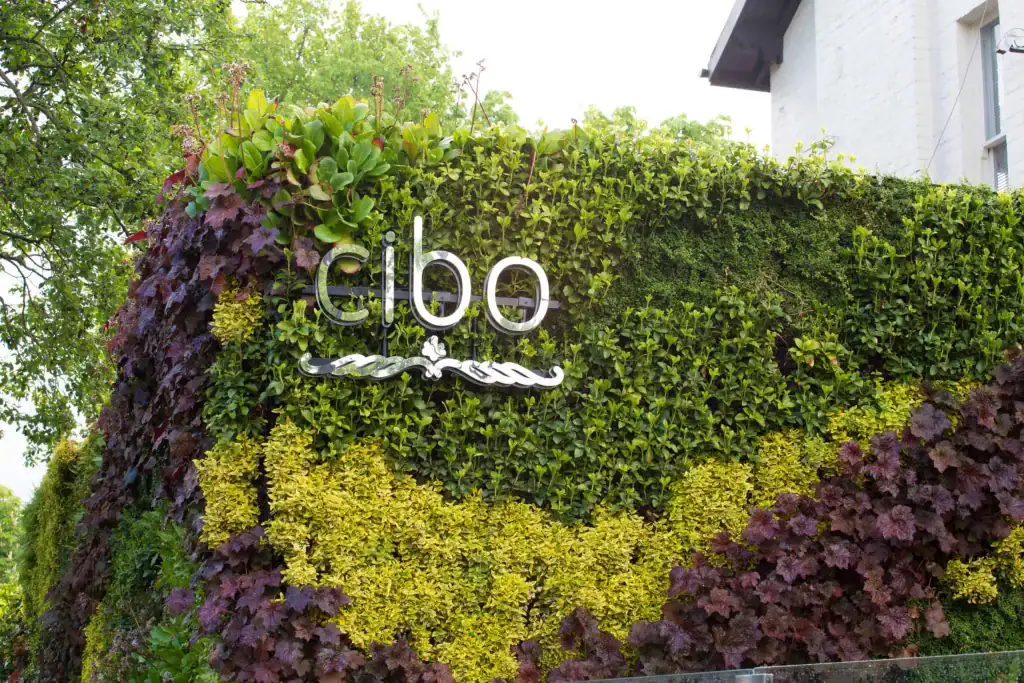 Cibo logo by Astra Signs surrounded by HYVERT green living wall by I Want Plants