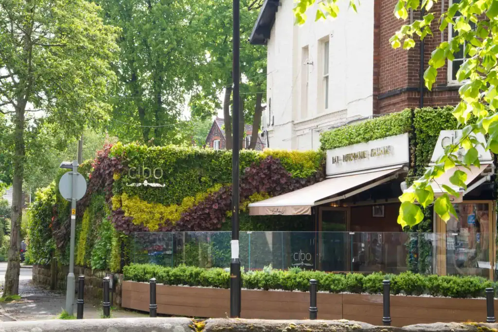 HYVERT green living wall on the exterior of Cibo, Hale, Cheshire