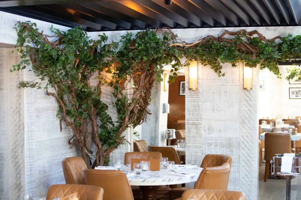 Interior tree planting for Cibo, Hale