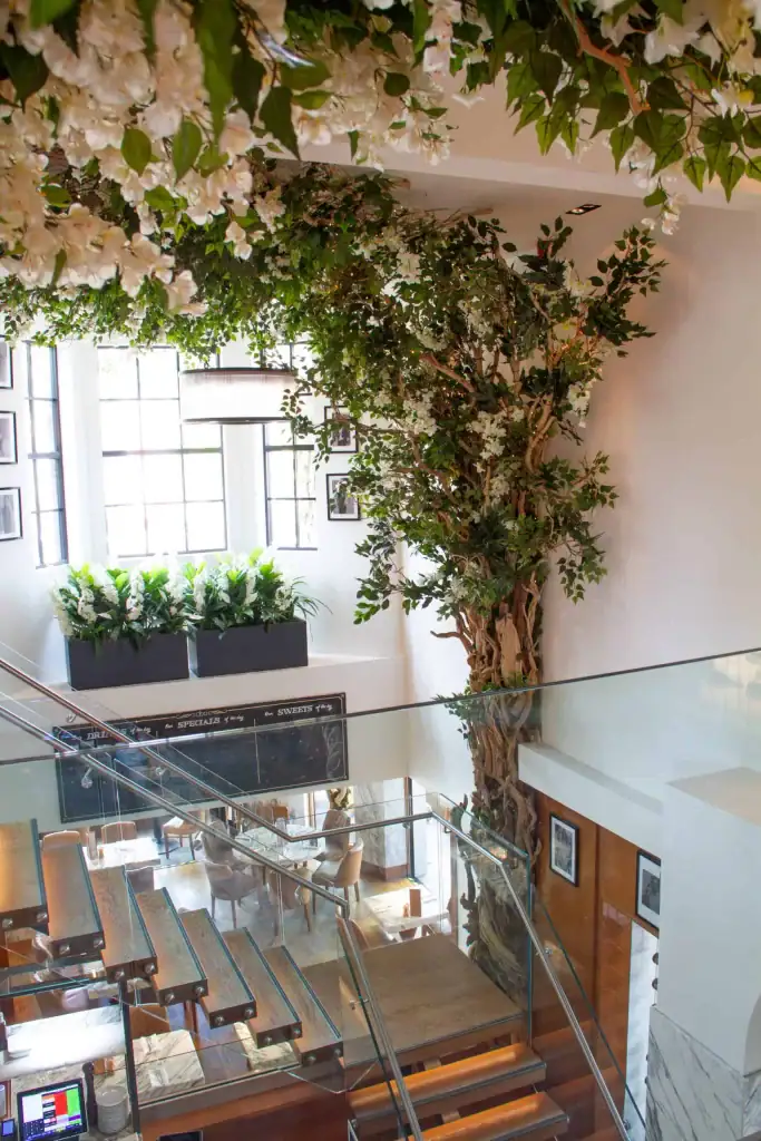 Bespoke tree and floral planting design at Cibo by I Want Plants