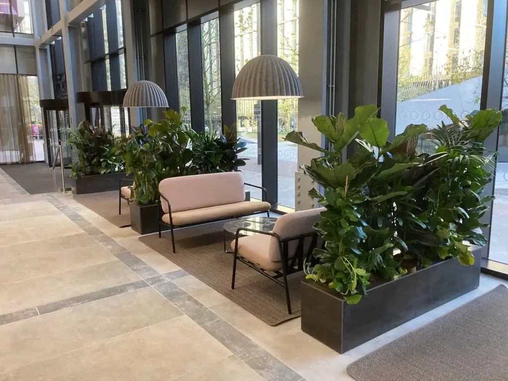 live plant displays at no 2 circle square manchester by i want plants