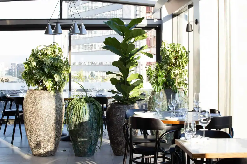 Lava pots from the IWP range at Climat restaurant