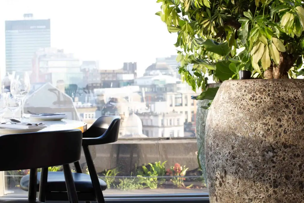 Freestanding pot at Climat, Blackfriars House